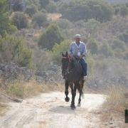 passeio equestre 2017 83