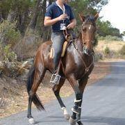 passeio equestre 2017 85