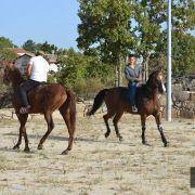 passeio equestre 2017 9