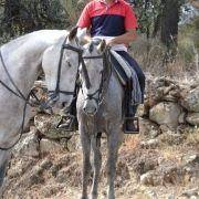 passeio equestre 2017 90