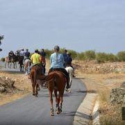 passeio equestre 2017 94