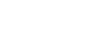 Prancheta 1