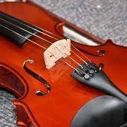 audicoes concerto natal 2017 51