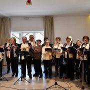 festa de natal idosos do concelho 2017 106