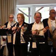 festa de natal idosos do concelho 2017 107