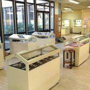 ferias desportivas pascoa 2018 19