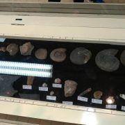 ferias desportivas pascoa 2018 22