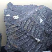 ferias desportivas pascoa 2018 7