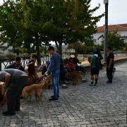 caominhada 19