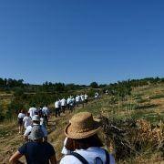 jornadas europeias 15