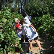 jornadas europeias 26