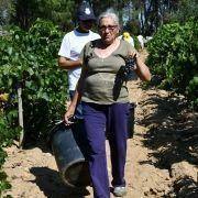 jornadas europeias 27