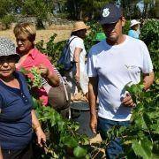 jornadas europeias 32