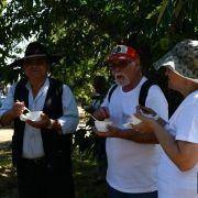 jornadas europeias 38