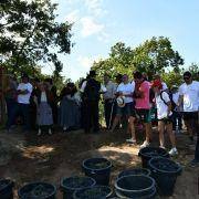 jornadas europeias 41