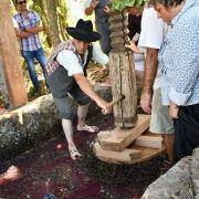 jornadas europeias 66