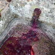 jornadas europeias 76