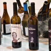 encontro enologos 2018 211