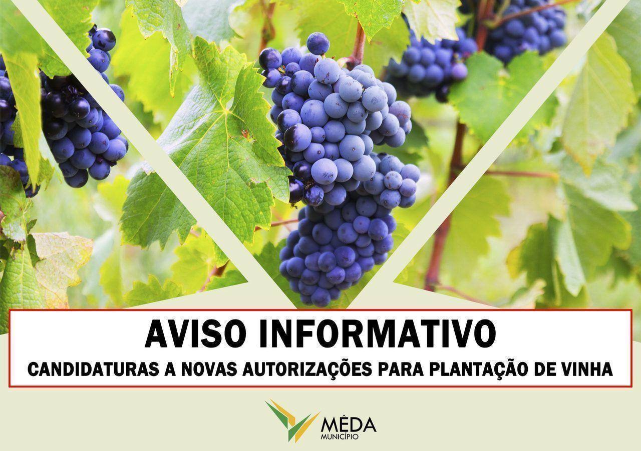 aviso vinhas banner