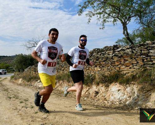 II trail bvm 71