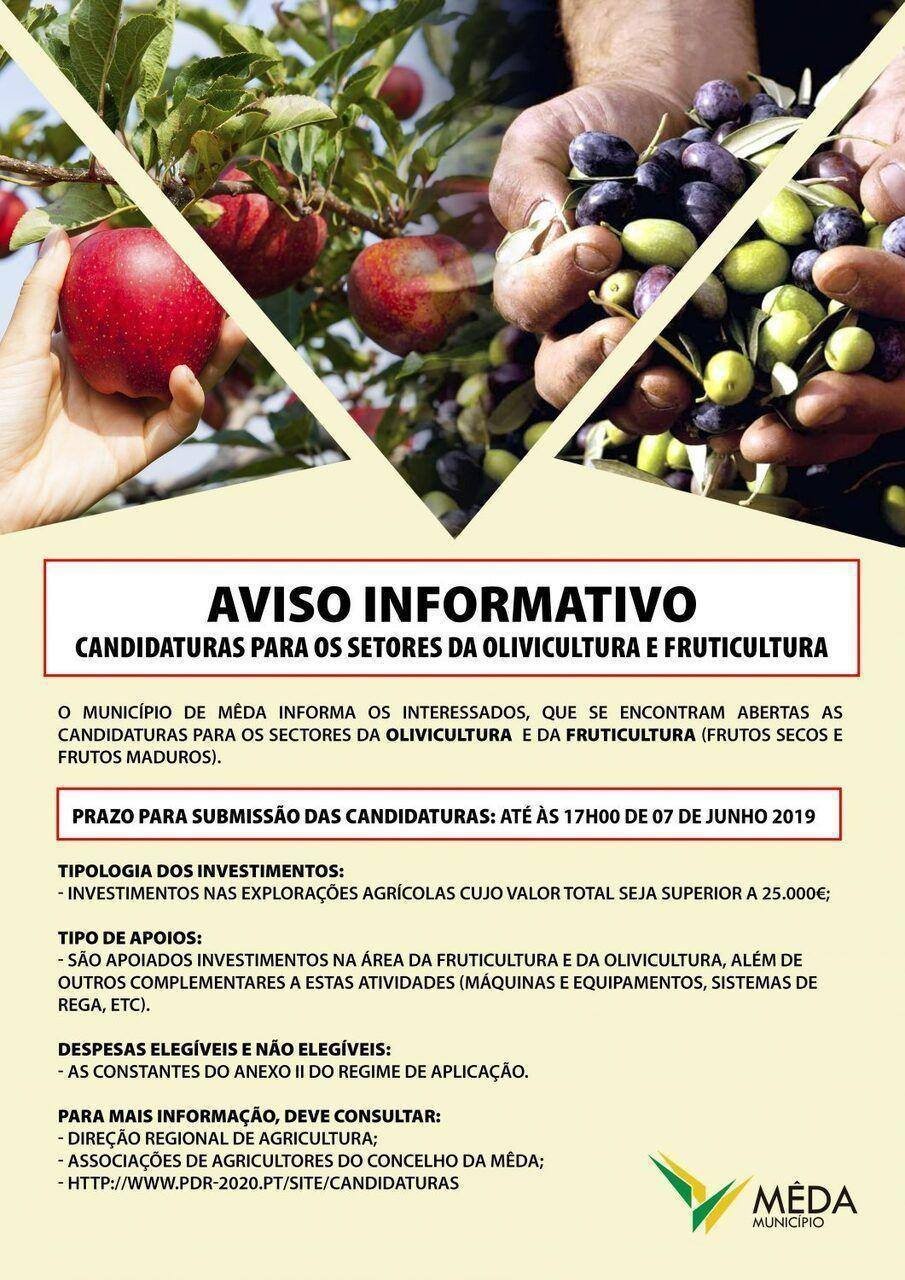 Candidaturas FruticulturaOlivicultura e1558299572811