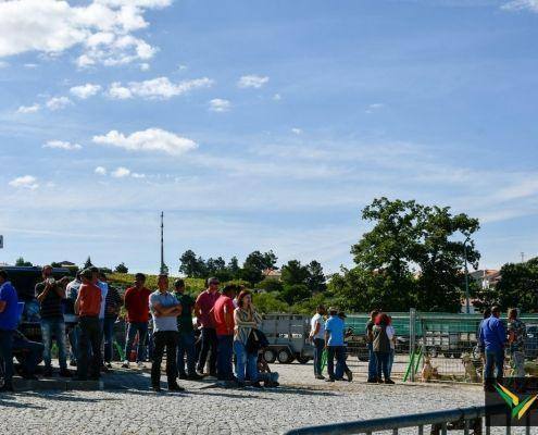 matilhas 2019 107 matilhas 2019 107