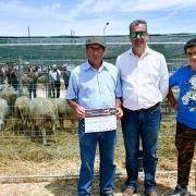 matilhas 2019 109 matilhas 2019 109