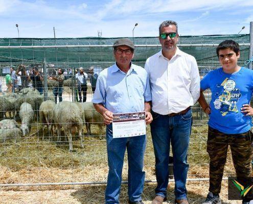 matilhas 2019 109 matilhas 2019 109