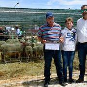 matilhas 2019 110 matilhas 2019 110