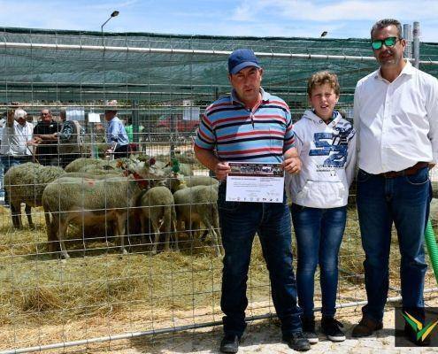 matilhas 2019 110 matilhas 2019 110