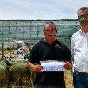 matilhas 2019 111 matilhas 2019 111