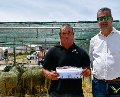 matilhas 2019 111 matilhas 2019 111