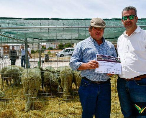 matilhas 2019 112 matilhas 2019 112