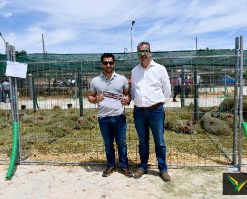 matilhas 2019 115 matilhas 2019 115