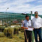 matilhas 2019 116 matilhas 2019 116