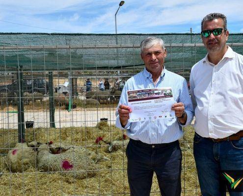 matilhas 2019 117 matilhas 2019 117