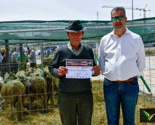 matilhas 2019 118 matilhas 2019 118