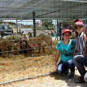 matilhas 2019 119 matilhas 2019 119