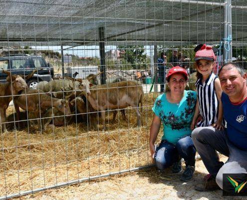 matilhas 2019 119 matilhas 2019 119