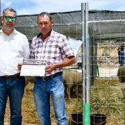 matilhas 2019 121 matilhas 2019 121