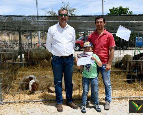 matilhas 2019 122 matilhas 2019 122