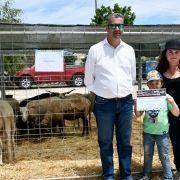 matilhas 2019 123 matilhas 2019 123