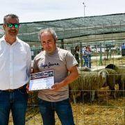 matilhas 2019 124 matilhas 2019 124