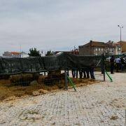 matilhas 2019 133 matilhas 2019 133