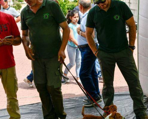 matilhas 2019 136 matilhas 2019 136