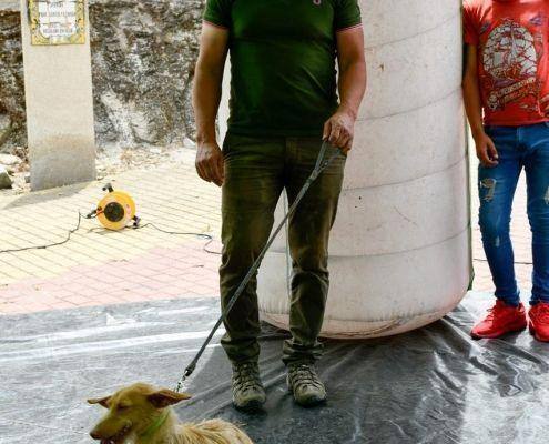 matilhas 2019 137 matilhas 2019 137