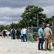 matilhas 2019 14 matilhas 2019 14