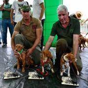 matilhas 2019 143 matilhas 2019 143