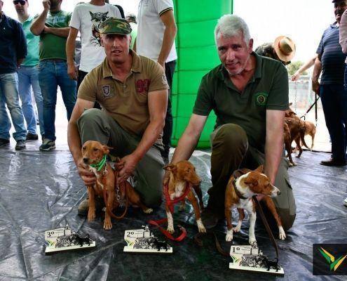 matilhas 2019 143 matilhas 2019 143