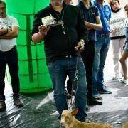 matilhas 2019 144 matilhas 2019 144